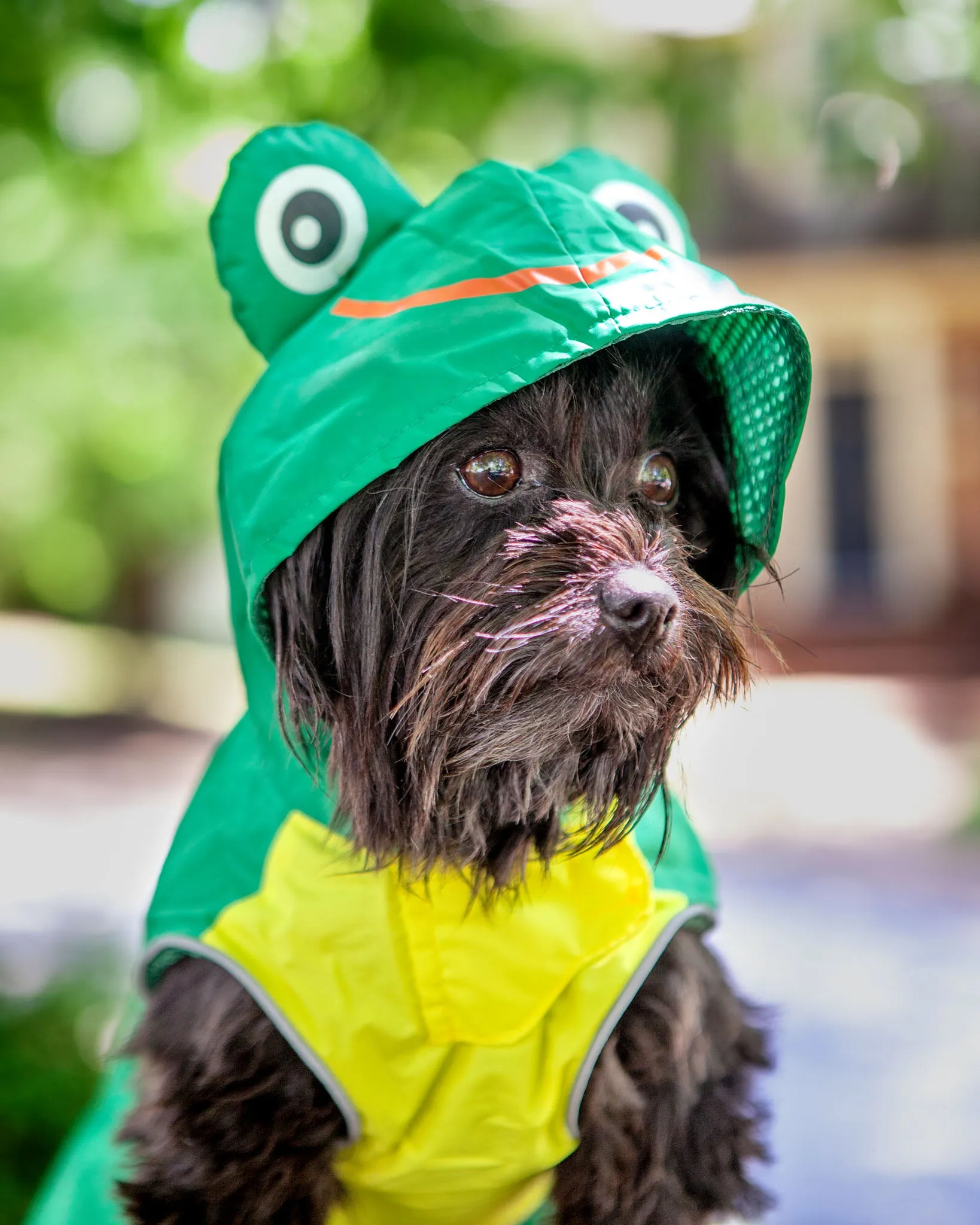 Frog Raincoat in Green